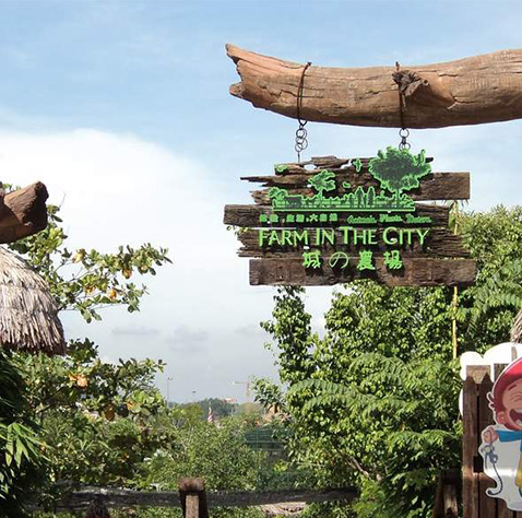 Farm In The City