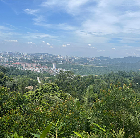 sungai long hill